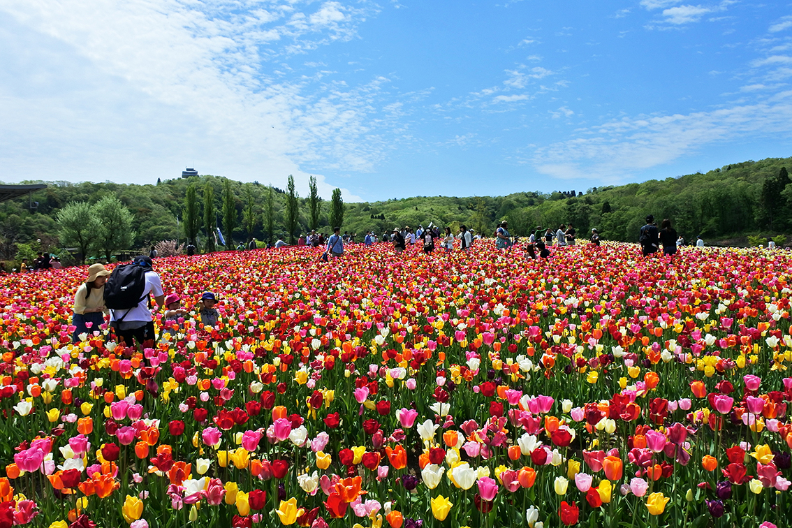 国営越後丘陵公園