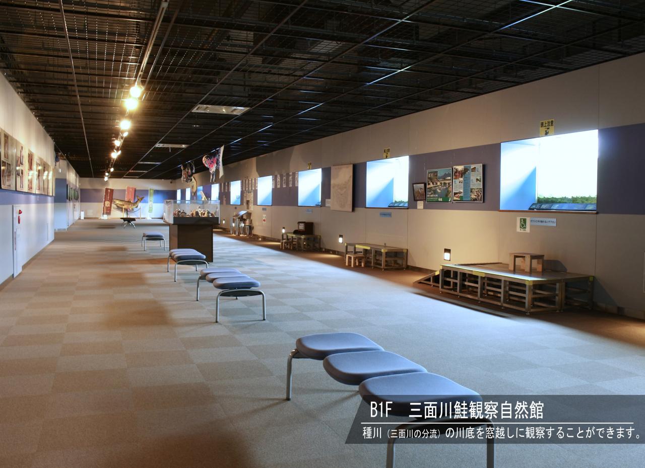 イヨボヤ会館