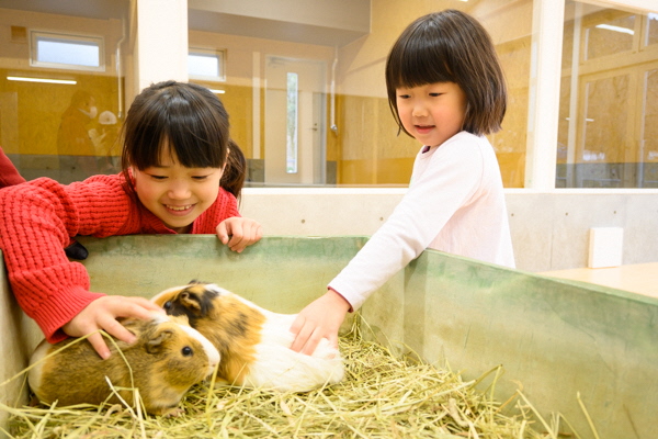  樽ケ橋遊園