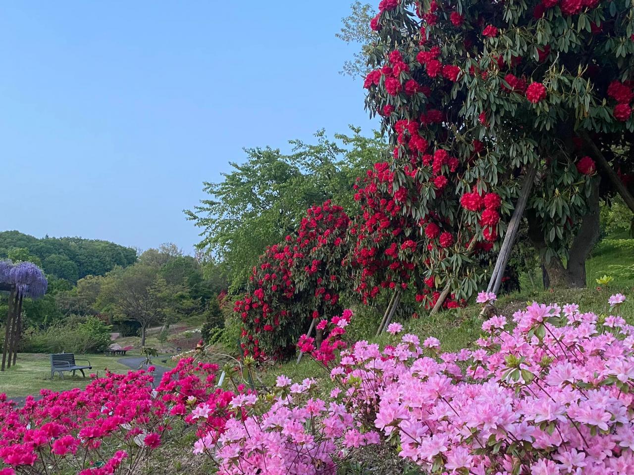新潟県立植物園