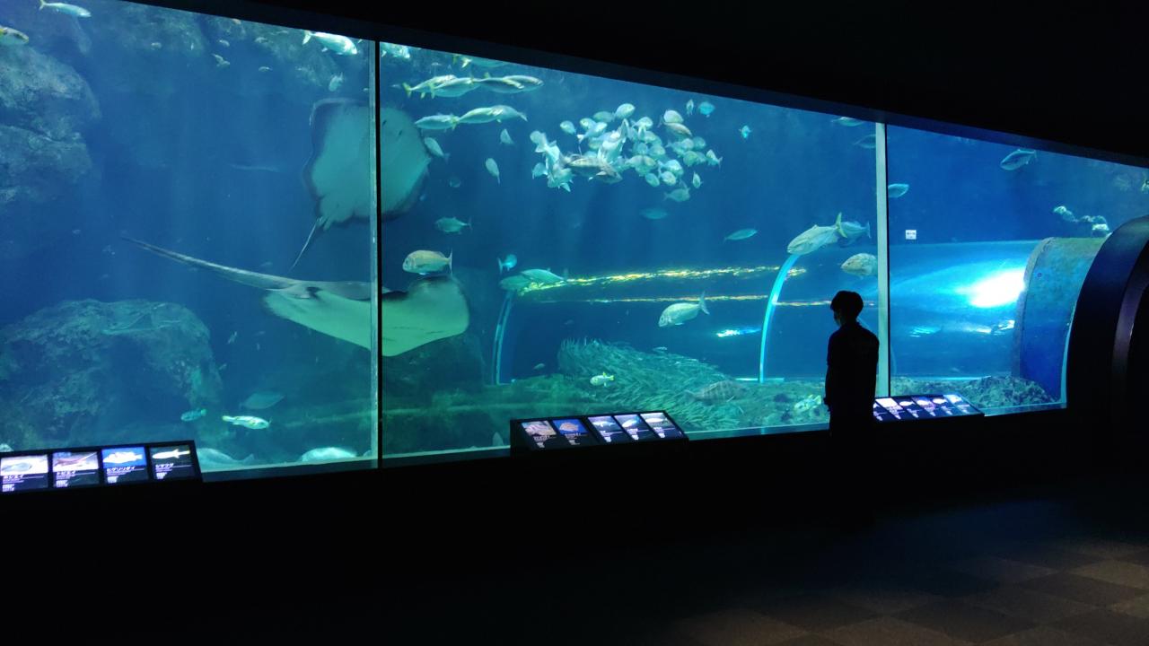  新潟市水族館マリンピア日本海